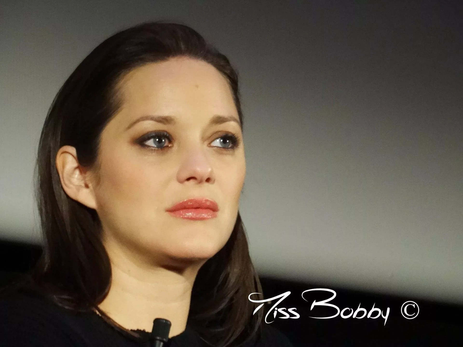 Marion Cotillard__assassin's creed