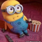 Miss Bobby_Films_2014