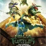 Ninja Turtles Miss Bobby_Ninja_Turtles