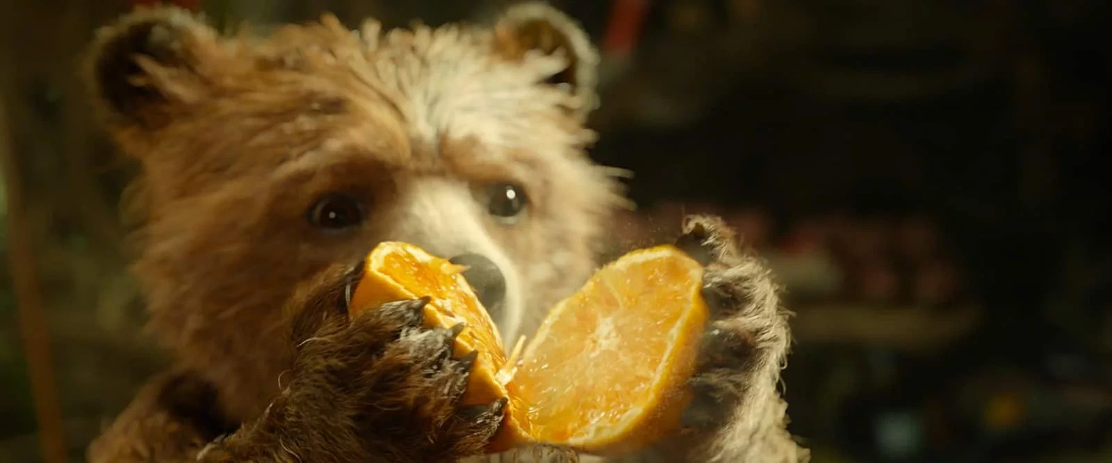 Paddington