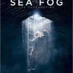 Miss Bobby_Sea Fog