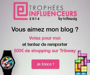 Tribway Miss Bobby-Trophées des Influenceurs